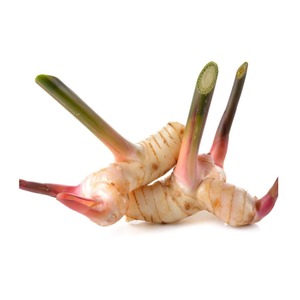 Galanga frais congelé naturel avec prix compétitif et gingembre thaïlandais de haute qualité prêt à exporter - Product Image 3