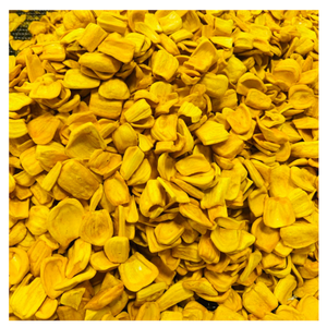 ชิปขนุนไขมันต่ำดีต่อสุขภาพจากเวียดนามผู้ผลิตและผู้ส่งออกขนมผลไม้อบแห้งแบบพรีเมี่ยม - Product Image 2