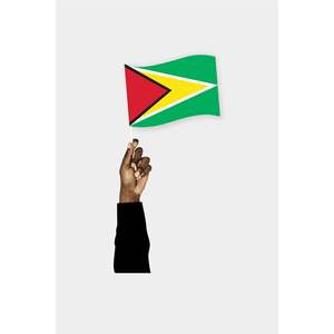 Custom 3x5ft Guyane <b>Flag</b> with Digital Printing Silk Cotton Plastic Material Fiberglass <b>Pole</b> Custom Logo <b>for</b> Automotive End User - Product Image 6