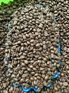 Bulk Vietnam Green <b>Coffee</b> <b>Beans</b> - Grade 1 Screen 18 Robusta - Raw Unroasted <b>Coffee</b> for Home Roasting Arabica <b>coffee</b> Robusta - Product Image 3