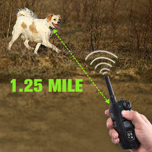 <span class=keywords><strong>Collar</strong></span> Antiladridos para Perros con Control Remoto, Recargable, Ecológico, Equipo de Agilidad para Perros, Alcance de Control Remoto de hasta 2 km - Product Image 6