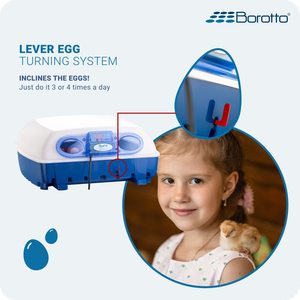 Incubateur d'oeufs professionnel semi-automatique Borotto Real 49-Performance fiable et brevetée, fabriqué en Italie - Product Image 4