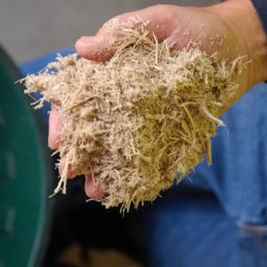 ENSILACE DE BAGAZO BLANCO SECO PRODUCTO CALIENTE DE VIETNAM CON BAJO PRECIO PARA ALIMENTACIÓN ANIMAL Y ABONO - Product Image 1