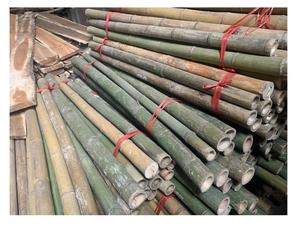 ผลิตทั้งขายเสาไม้ไผ่ธรรมชาติขนาดปรับแต่งการเกษตรคุณภาพดีที่สุดจากเวียดนามด้วยราคาที่ดีที่สุด - Product Image 4