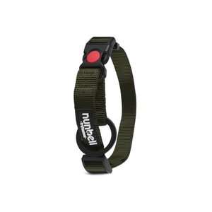 Collier pour animaux de compagnie de qualité supérieure bicolore couleur CIAN élégant et confortable - Product Image 2