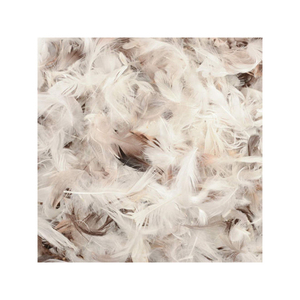 Plumas de pato blancas lavadas suaves a granel de alta calidad sin olor teñido 5-2CM para manualidades nueva gran oferta - Product Image 4