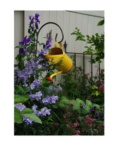 Nuevo diseño, regadera de Color amarillo, maceta de flores de Metal de Calidad exclusiva, agua que se puede usar para patio exterior - Product Image 6