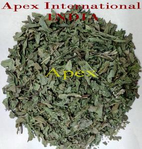 Menthe poivrée séchée, feuilles de menthe poivrée, menthe poivrée en gros, fournisseur de menthe poivrée, menthe poivrée en vrac, fournisseur de menthe poivrée séchée - Product Image 1