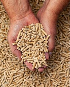 Encuentra iconos similares. Compra pellets de madera de pino canadiense de color blanco A1. - Product Image 2