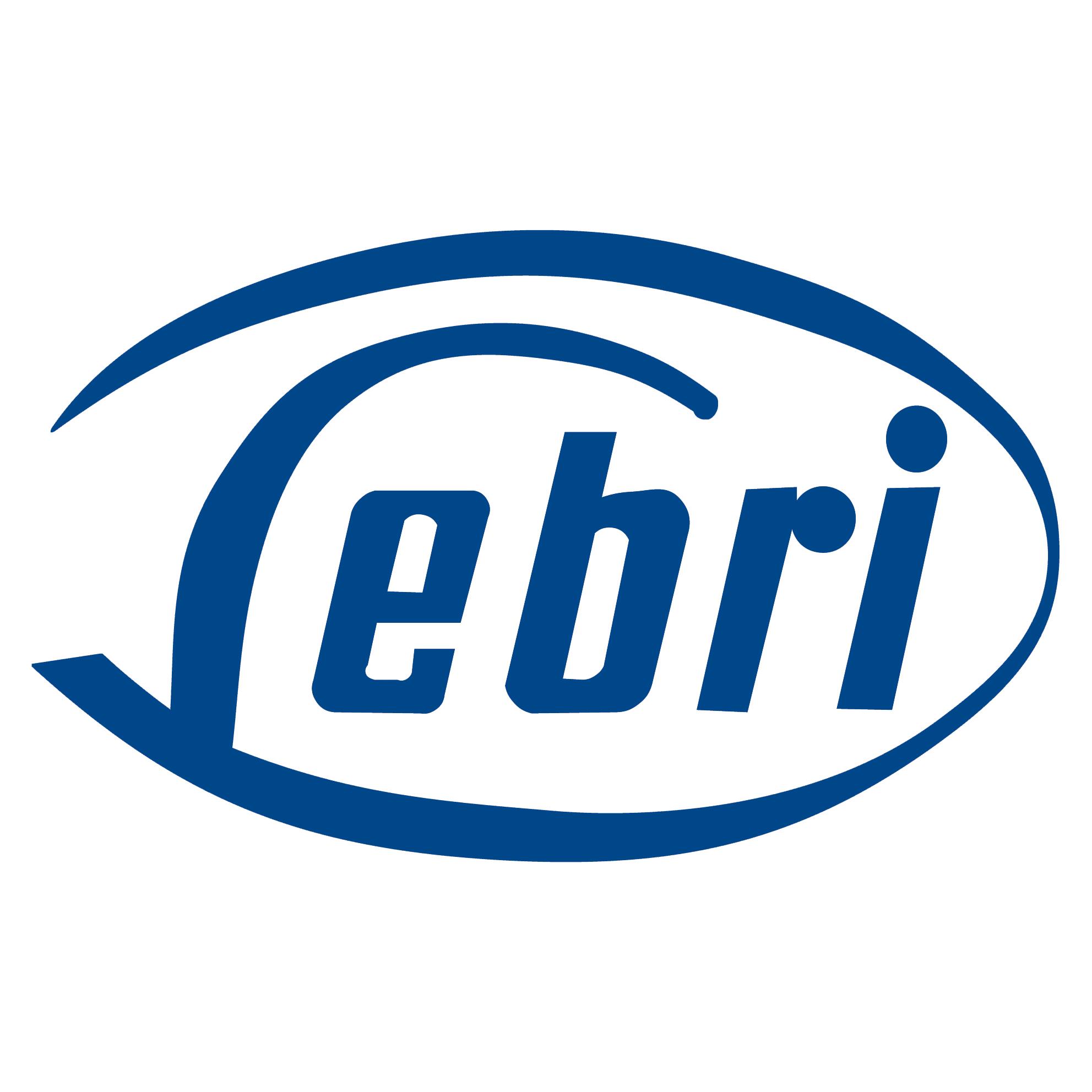 Leder Brinkmann GmbH logo