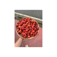 Veganistische Vriendelijke Gevriesdroogde Aardbeienchips Natuurlijke Hele Fruitsnack Geen Toegevoegde Suiker Geen Conserveermiddelen Ideaal