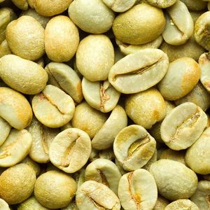 HANCOFFEE 2025 CROP Granos de Café Arábica Verdes - Venta al por Mayor Más Barata - Empaquetados en Bolsas de 60 kg/ Bolsa de Polipropileno/Bolsa de Yute - Muestra Gratis - Product Image 1