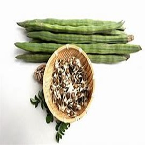 Graines de Moringa Oleifera Séchées Biologiques d'Autriche pour Usages Médicaux, Industriels et Cosmétiques Durée de Conservation de 2 Ans pour l'Exportation - Product Image 5