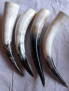 Cornes de buffle naturelles faites sur mesure, idéales pour la décoration de la maison et pour les magasins de fournitures viking pour la revente - Product Image 4