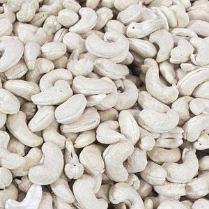 Manufacturing Organic Roasted Cashew Santigo Factory In Vietnam W210 240 Premium Quality Wholesale Exported To Eu, Middle East - Product Image 1