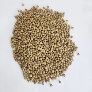 Graines de coriandre de haute qualité 100% graines de légumes secs naturels de qualité biologique en vrac et fournisseur quantité minimale de commande meilleur pour le jardinage - Product Image 5