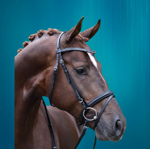 Fabricantes que venden Bridas para caballos Bridas para carreras de caballos ecuestres - Product Image 4