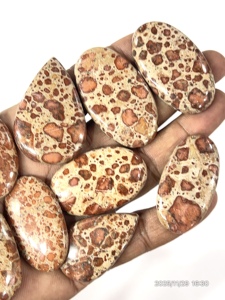 Pierre précieuse naturelle de type astéroïde, cabochon, forme et taille variées, 20 à 30 mm environ, vente en gros, bijoux en vrac - Product Image 1