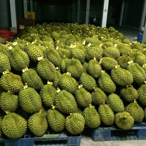 FRUITS DURIAN CONGELÉS DE HAUTE QUALITÉ | APPROVISIONNEMENT D'EXPORTATION EN GROS DU VIETNAM - Product Image 5