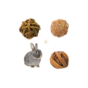 Vietchoice |   Pelota de Juguete Masticable Hecha a Mano con Jacinto de Agua, Ecológica para Mascotas Pequeñas - Product Image 6