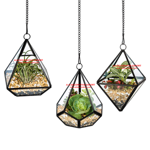 Balcón colgante decorativo moderno creativo artesanía de cristal terrario florero de cristal para decoración del hogar - Product Image 6