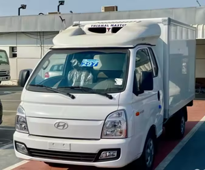 Asientos de Cuero Blancos Usados para Camioneta Refrigeradora H-100 2025, Transmisión Manual, Faros de Xenón, Motor de Gasolina, Luz de Congelador - Product Image 1