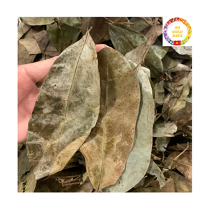 Feuilles de Graviola séchées de qualité supérieure en provenance du Vietnam, feuilles de corossol pour infusion - Product Image 4