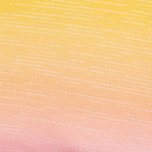 ชุดโยคะผู้หญิงแบบสองชิ้น ลายสก็อตพลิกกลับได้ ไซส์พลัส ไร้ตะเข็บ พร้อมดีไซน์ด้านหน้าและเอว รับสกรีนโลโก้ - Product Image 6