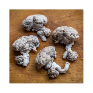 Cerebros de Cerdo Congelados de Alta Calidad (Cuerpo) - Empaque a Granel Grado A Tamaño, Color y Textura Consistentes - Product Image 6