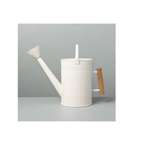 Décoration de jardin de canne d'arrosage décorative en métal enduit de poudre mate blanche meilleure vente pour fleurs et plantes - Product Image 1