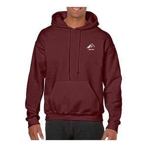 Sweat à capuche en molleton vintage pour homme, poids lourd, uni, 100% coton biologique pour l'hiver, vente flash 2025 - Product Image 2