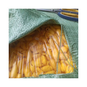 Capullos de Gusano de Seda Dorado de Doble Capa |   Capullos de Dúpion para Tejido Especial |   Suministros para Artesanía y Textiles - Product Image 1