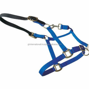 OEM vente en gros, bas prix, sangle en NYLON pour cheval, licou, collier de tête, toutes les couleurs personnalisées - Product Image 3