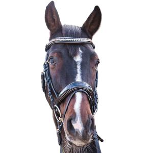Amalfi Black Snaffle Brevet/Bronze sparkle piping HORSE Comfort BRIDLE Fancy Decorative Anatomical Horse Bridle smart - Product Image 1