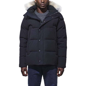 OEM Factory Custom Mens Winter Stand Collar <b>Waterproof</b> Puffer <b>Jacket</b> Quilted Outdoor Casual Apparel - Product Image 1