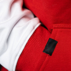 Sudadera con capucha de forro polar técnico 100% algodón con cremallera completa para hombre, al por mayor, con logo personalizado OEM, para fitness y invierno - Product Image 2