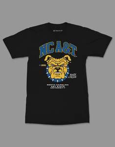 เสื้อยืดมหาวิทยาลัย A&T NCAT แบบยูนิเซ็กซ์ ผ้าฝ้าย 100% พิมพ์ลายซิลค์สกรีน เป็นมิตรกับสิ่งแวดล้อม แห้งเร็ว สำหรับนักศึกษา รับผลิตเสื้อผ้า OEM - Product Image 1