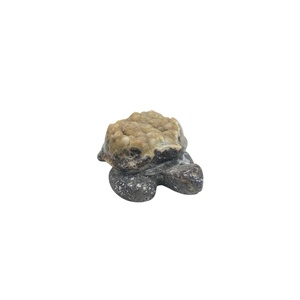 Sculpture artisanale en jaspe zèbre naturel, figurine d'animal en pierre polie - Product Image 6