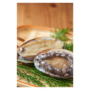 Abalone frais de qualité supérieure, préparé pour les offres en gros - Product Image 6