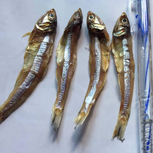 ปลากะตักพรีเมี่ยมของเวียดนาม | ตากแห้งตามธรรมชาติภายใต้แสงแดด - Product Image 1