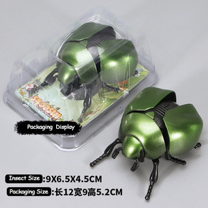 สัตว์แมลงไขลานของเล่นแมลงเต่าทองแมงมุมจั๊กจั่นของเล่นจำลอง - Product Image 5