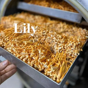 Champignon fonctionnel Cordyceps Militaris Ingrédient en vrac pour capsules et thé/lys - Product Image 1