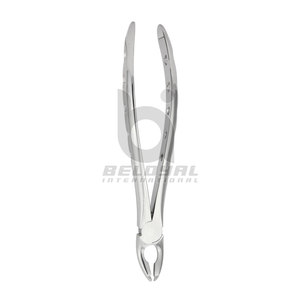 Pince de rétention apicale Instrument d'extraction dentaire résistant à la rouille Pince de rétention apicale Outil en acier inoxydable fabriqué avec précision - Product Image 2