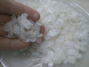 ÉCHELLE DE PERCHE DE SUPER QUALITÉ DU FABRICANT VIETNAMIEN en 2025 - Product Image 3