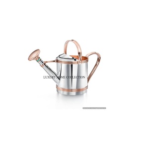 Arrosoir en acier galvanisé renforcé avec une poignée ergonomique et un bec anti-goutte pour un arrosage efficace à faible coût - Product Image 1