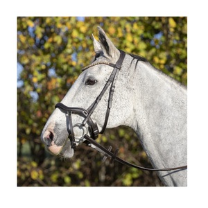 Diadema de Carreras de Caballos en inglés de buena calidad de India Brida Pescara Curved a precio asequible - Product Image 1