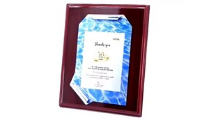 Placa de desplazamiento de plata de exportador indio con un diseño clásico para honrar los logros especiales disponibles al mejor precio - Product Image 3