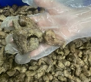 Pata de Champiñón Vegano Congelada Natural para Venta al por Mayor, Minorista y Compradores OEM - Product Image 5