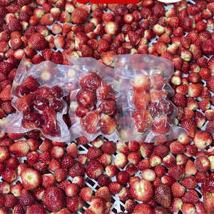 FRAISES CONGELÉES ENTIÈRES ET TRANCHÉES POUR BOISSONS ET DESSERTS PRODUITS AU VIETNAM - Product Image 2