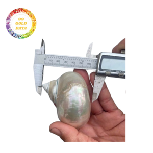 แหวนผ้าเช็ดปากเปลือกหอยธรรมชาติทำด้วยมือของตกแต่งชายฝั่งทะเลเวียดนามสำหรับงานแต่งงานงานเลี้ยงอาหารค่ำและงานเฉลิมฉลองริมชายหาด - Product Image 5